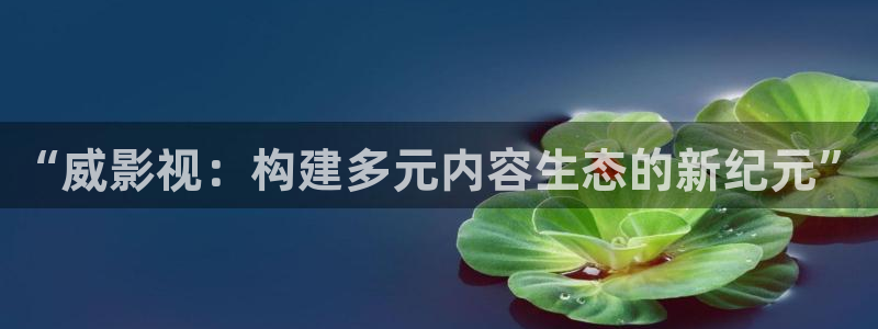 泡泡的电影