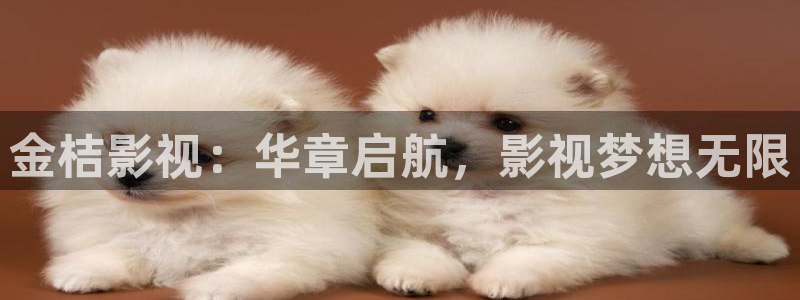 泡泡影视 电影天堂：金桔影视：华章启航，影视梦想无限
