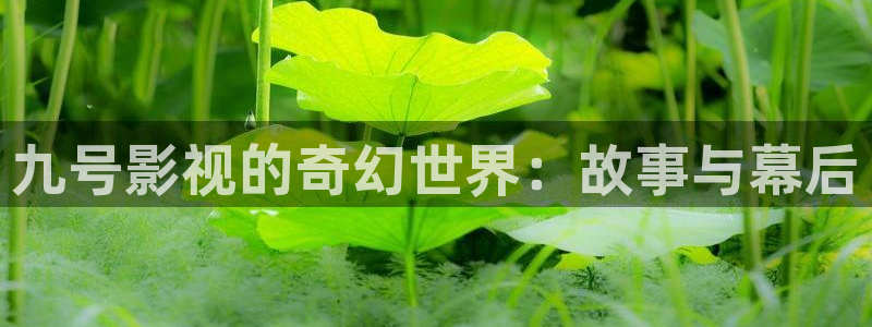 泡泡午夜电影：九号影视的奇幻世界：故事与幕后