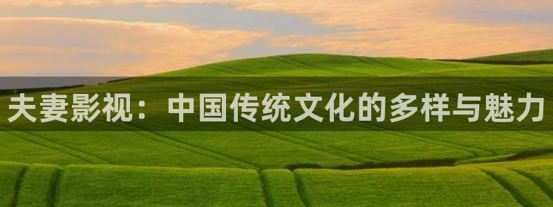 泡泡电影免费大全：夫妻影视：中国传统文化的多样与魅力