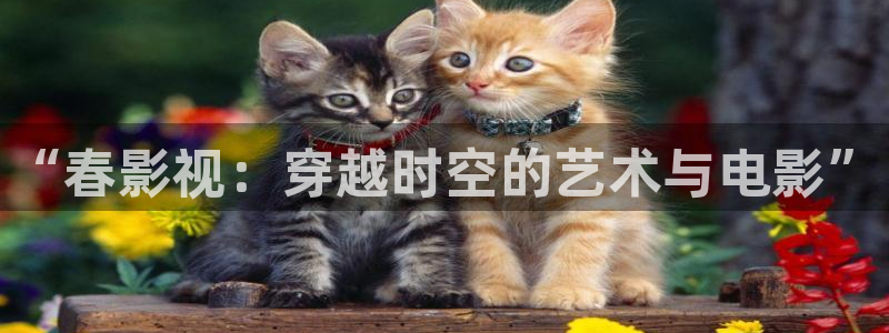 泡泡猪影院：“春影视：穿越时空的艺术与电影”