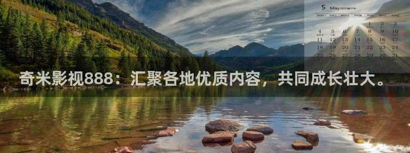 狂飙泡泡影视