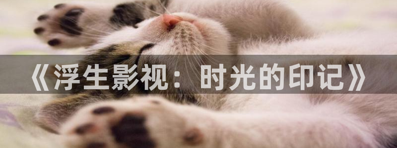 泡泡影视 伦理